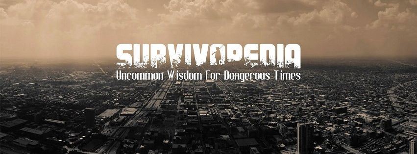 Daily Clout w/Dr. Naomi Wolf