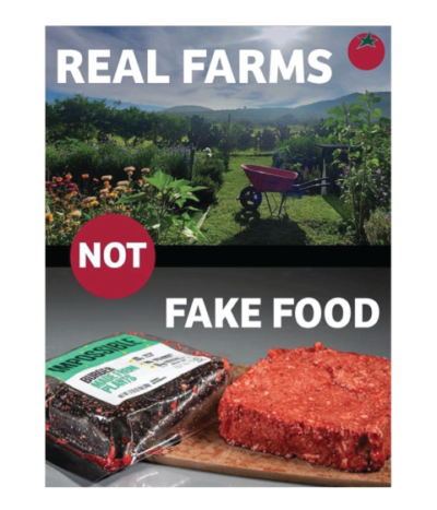 Truth About Synthetic Food